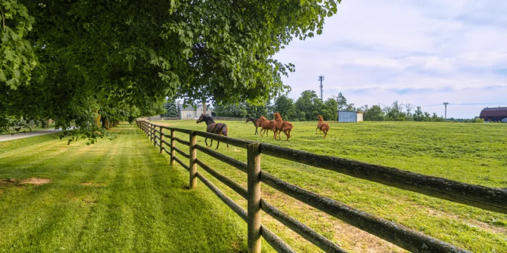 Spring Hill Fence Contractors in Hernando Beach, FL